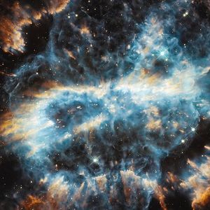 Meet your Posher, Kristeen